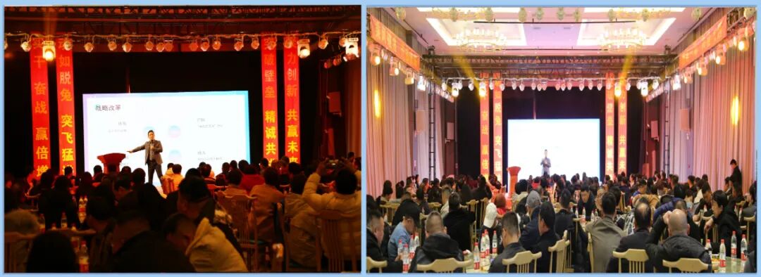 2023小鸟一路春天里