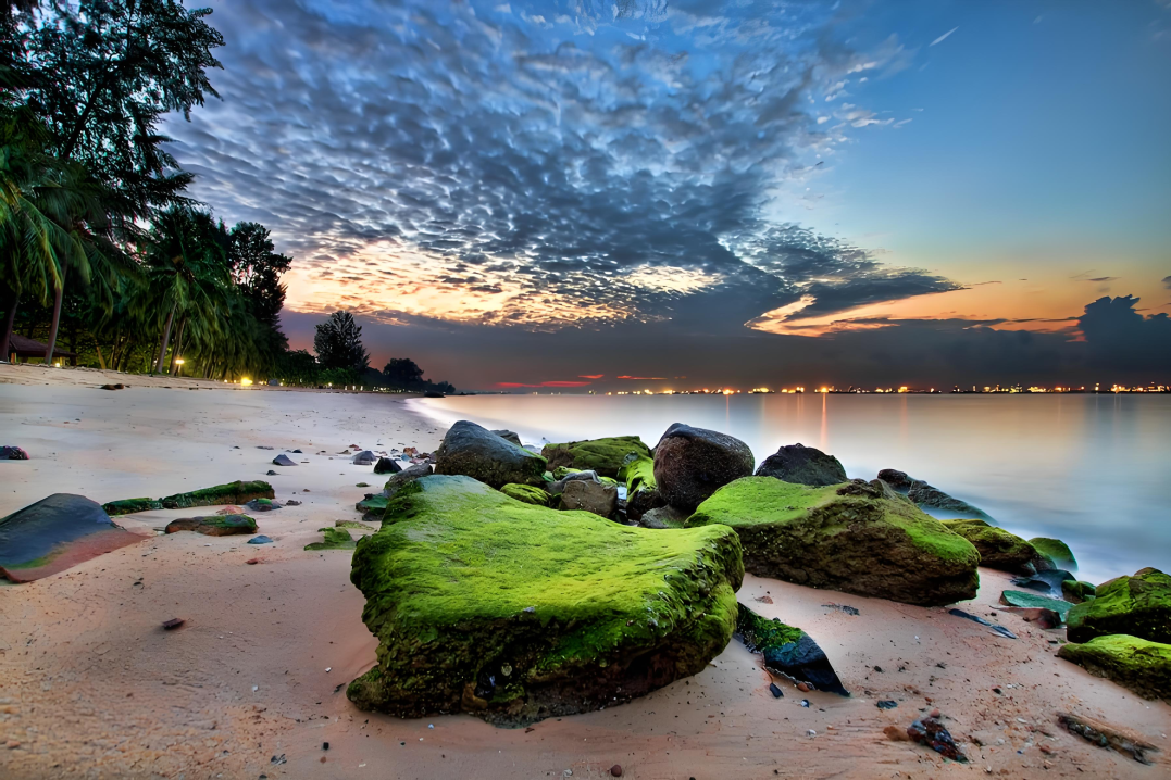 [2025-01-03]新年第一场骑车冒险去狮城槟城和海南过冬天