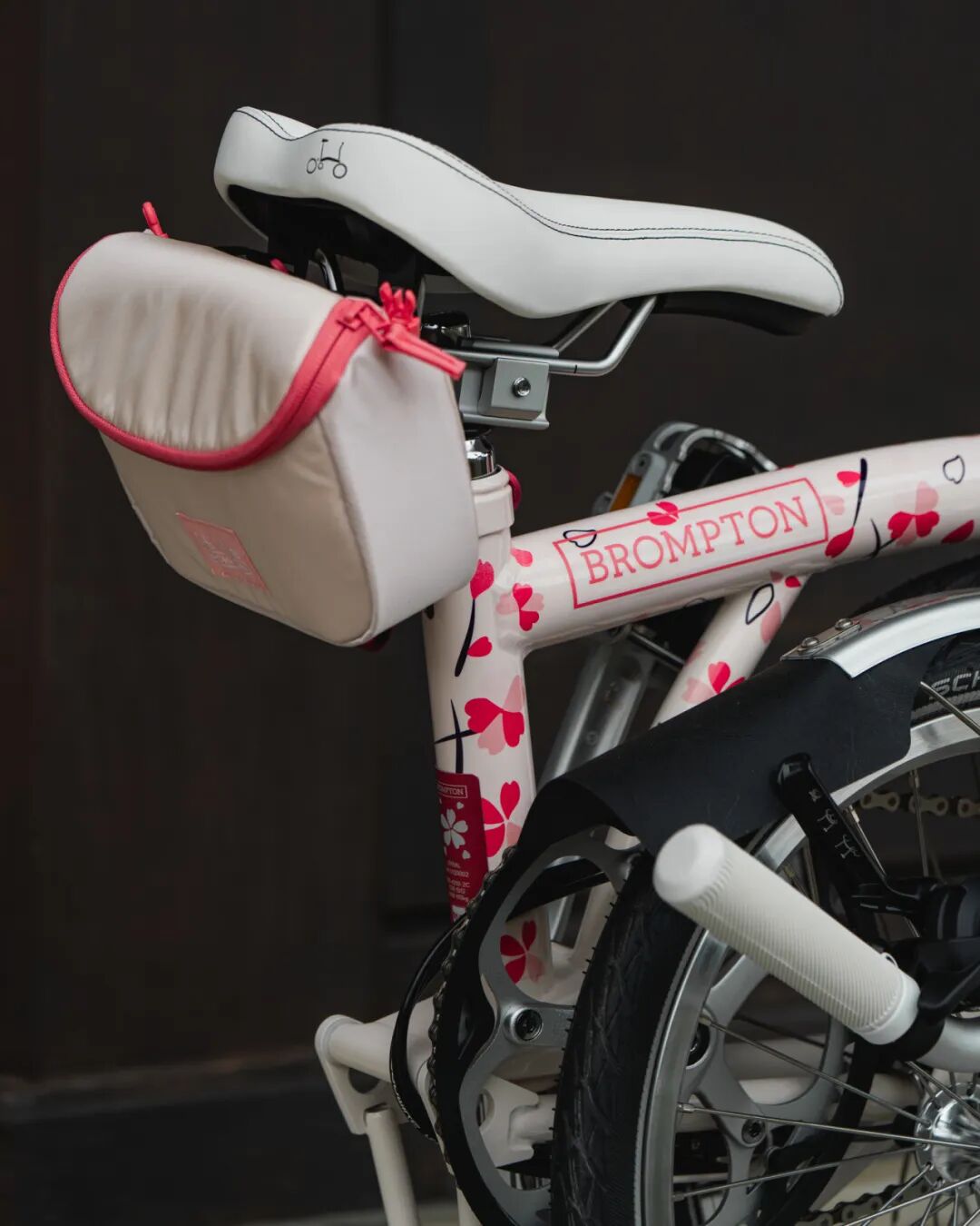 [2025-02-27]迎接樱花季需要准备什么