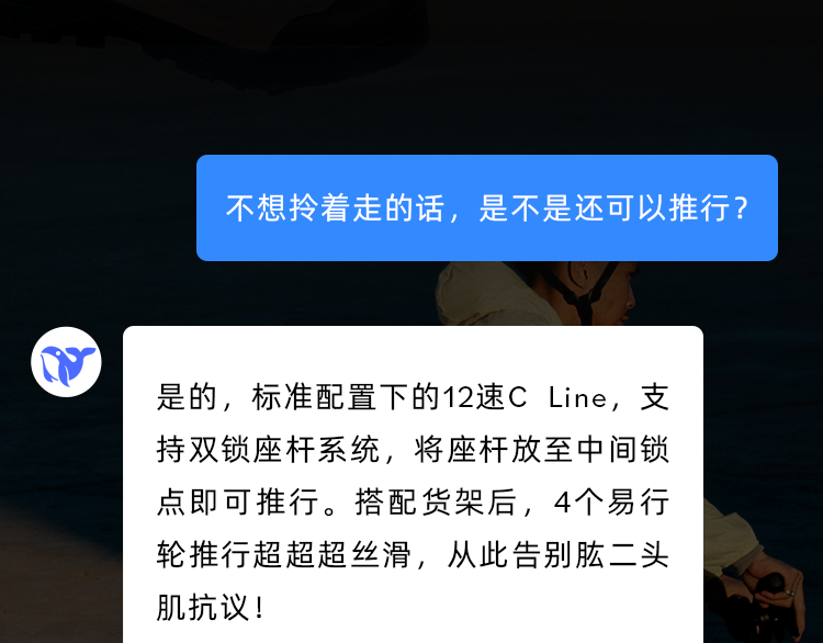 [2025-04-10]当我问AIBROMPTONCLine怎么选