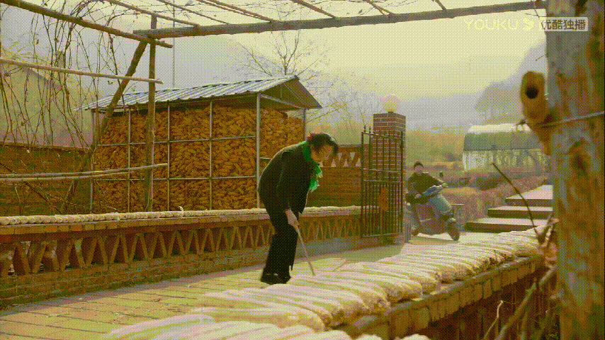 乡亲乡爱选出你心中的小刀完美代言人