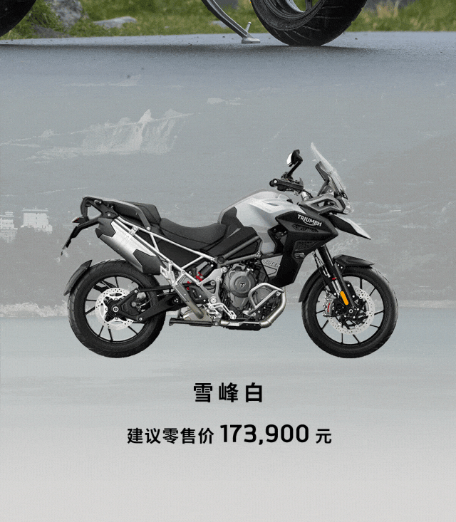 [2025-01-17]鉴虎图Tiger家族全揭秘