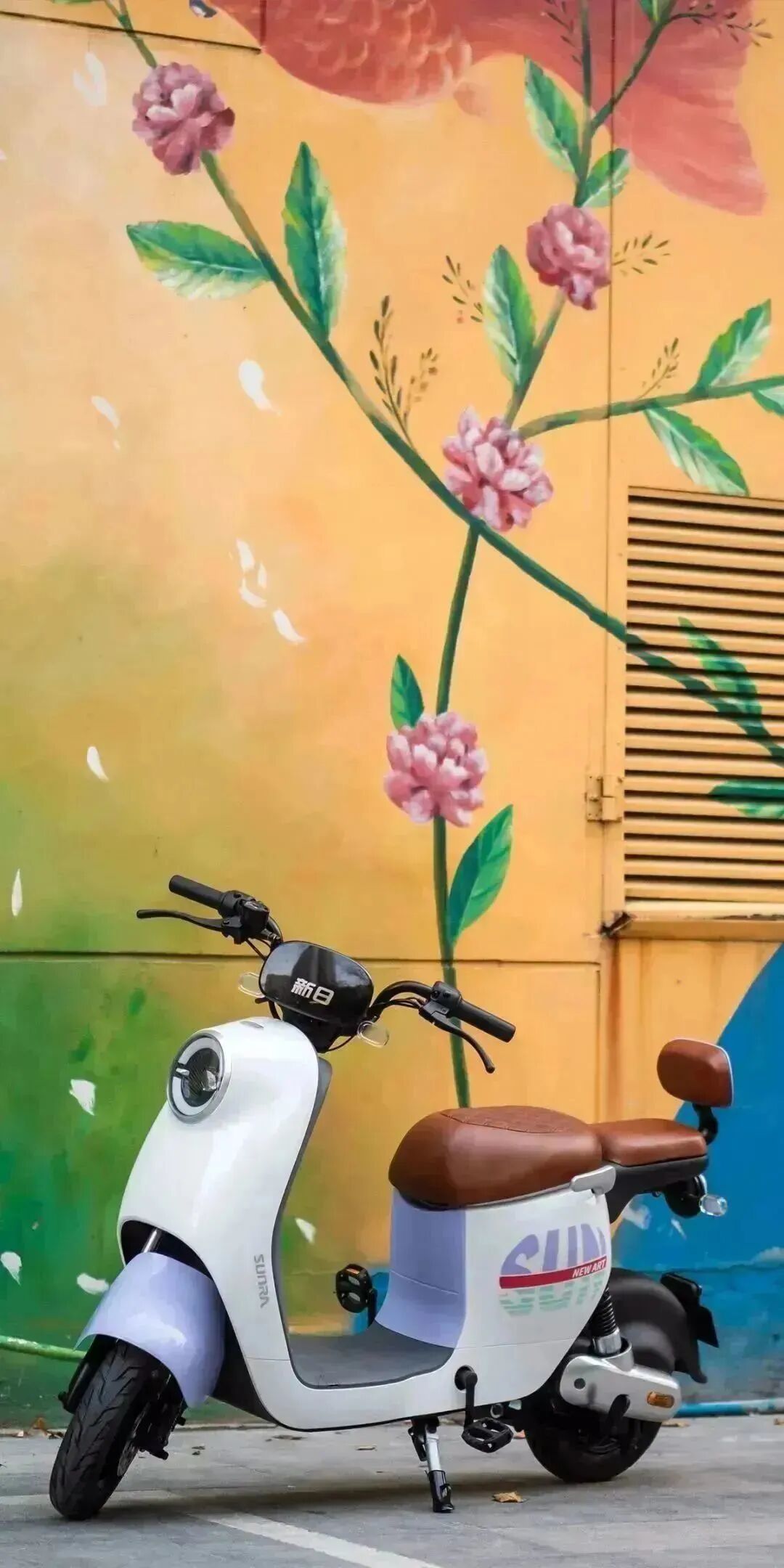 私家大片留下最美印记