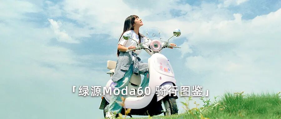 [2025-10-24]破局共赢增长绿源北部战区聚力助推全国市场攻势全面升维