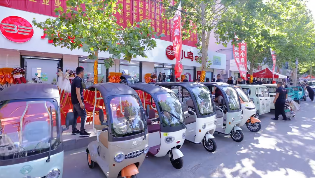 [2024-06-27]小鸟步新布局不凡