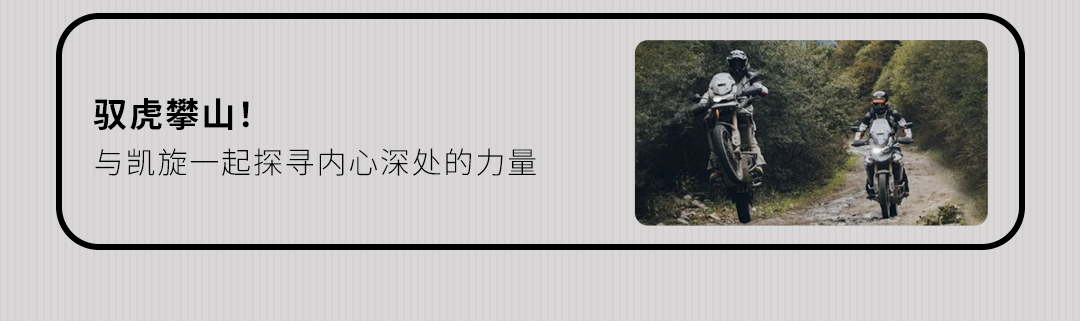 [2025-01-17]鉴虎图Tiger家族全揭秘