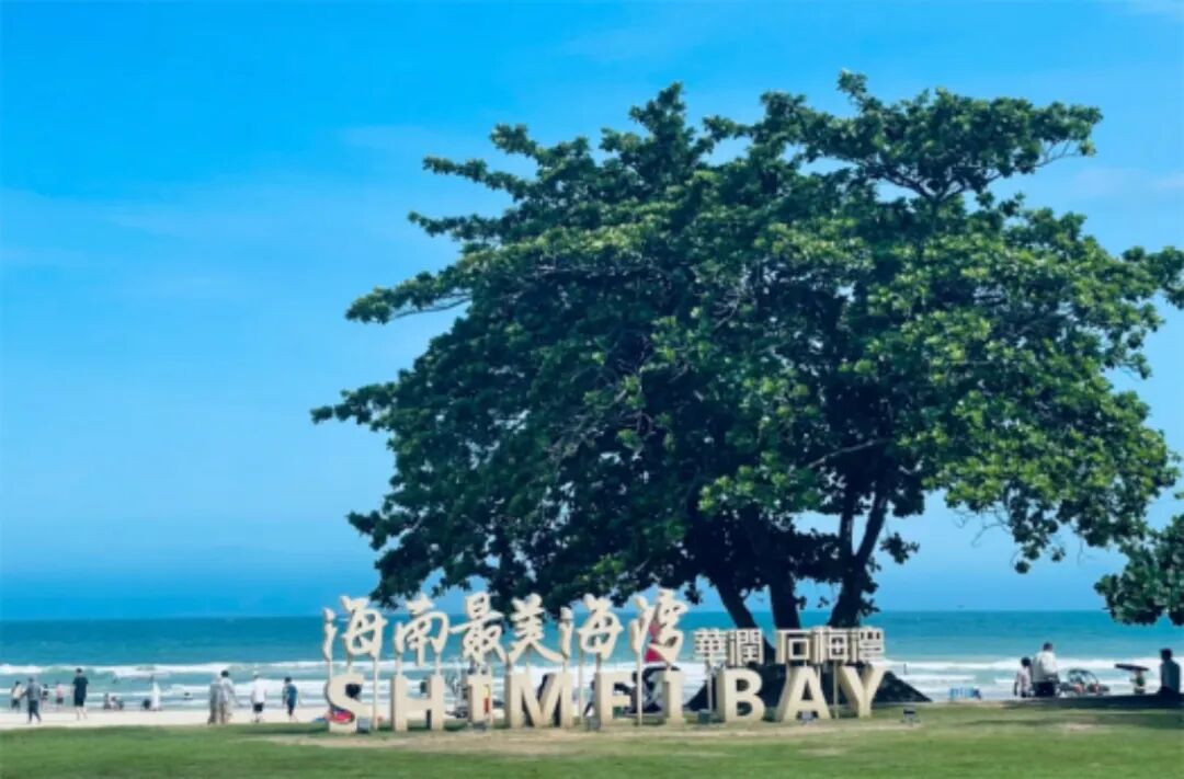 [2025-01-03]新年第一场骑车冒险去狮城槟城和海南过冬天