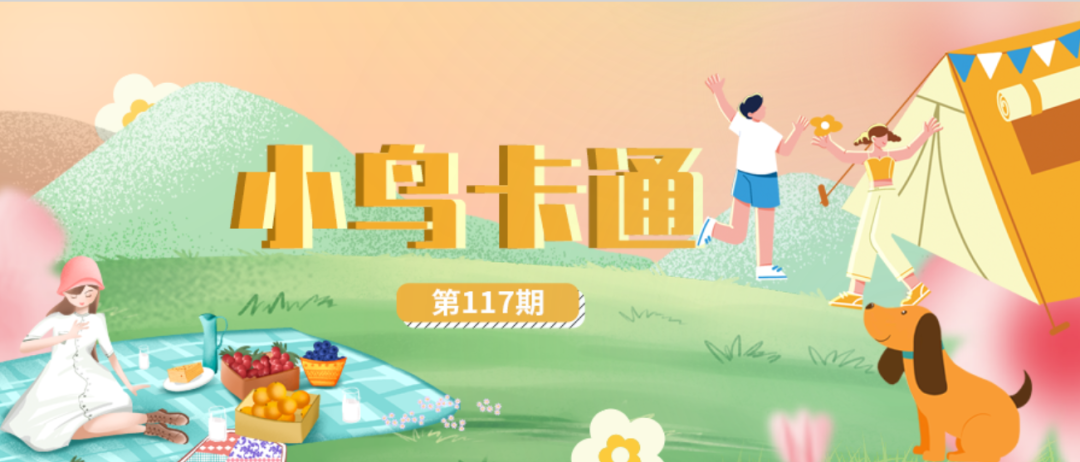 [2024-08-15]如是我小鸟二十年经略出版