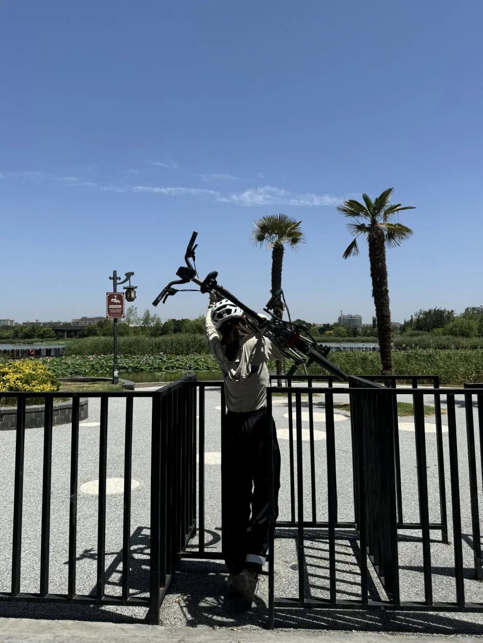 [2024-10-24]到底要不要买TLine听听布友们怎么说