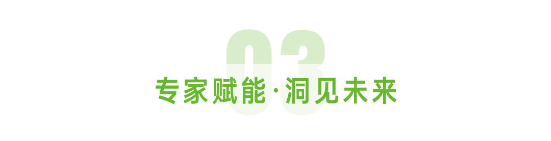 决胜2025全域争锋共启电摩新纪元