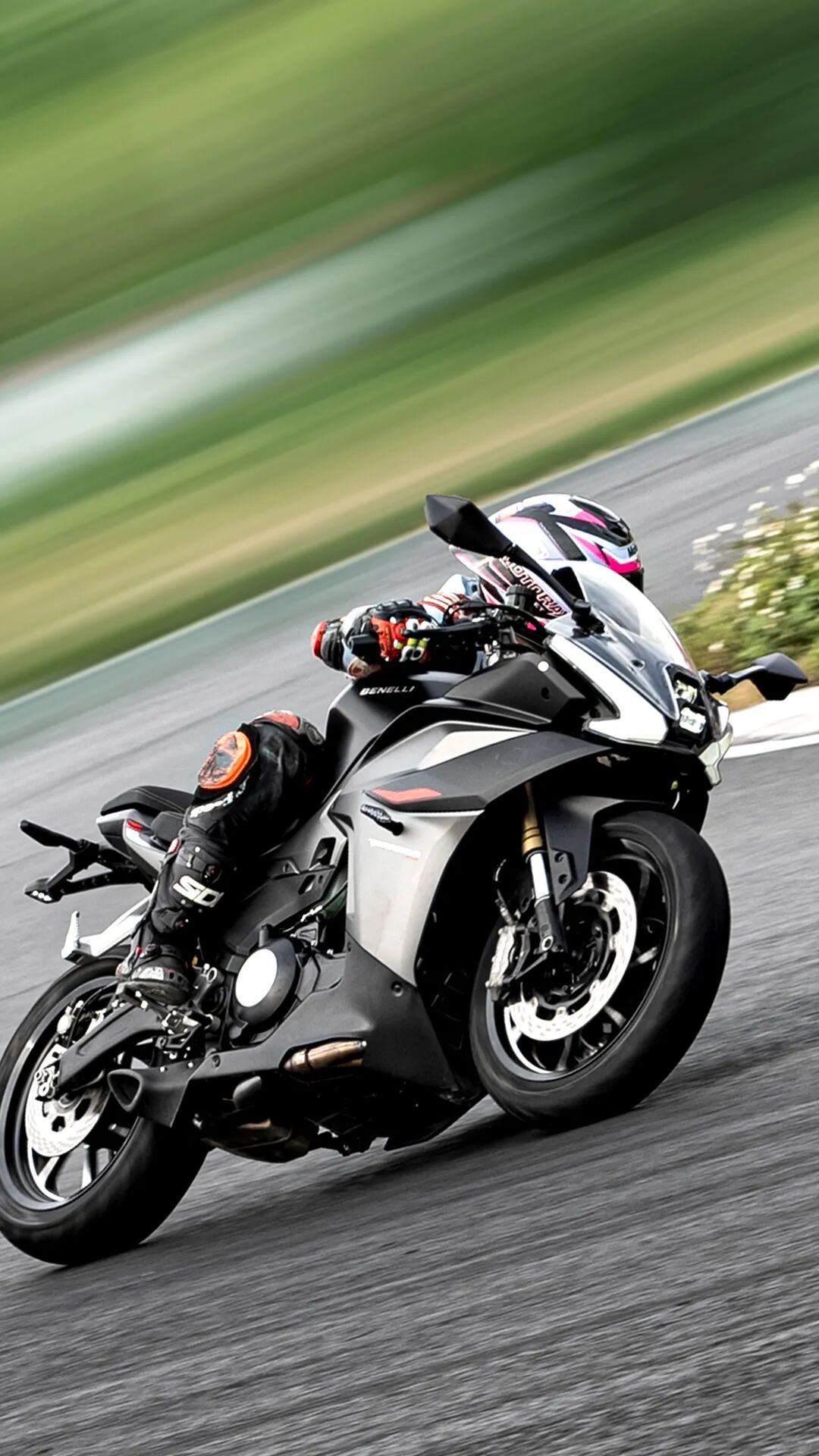 [2024-06-01]6月壁纸叮请签收你的童款快乐