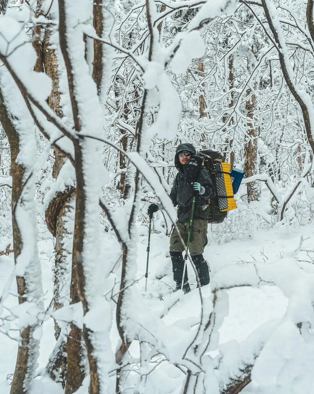 [2024-03-06]春天穿什么布友的穿搭思路