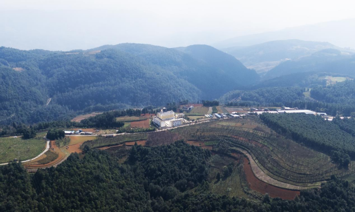 大美小鸟七彩云南温暖行