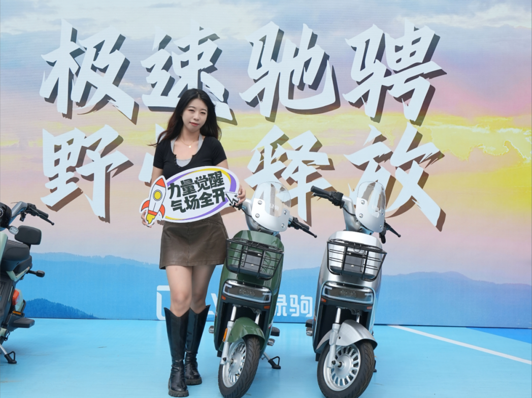 绿驹新品多款式多系列快码住