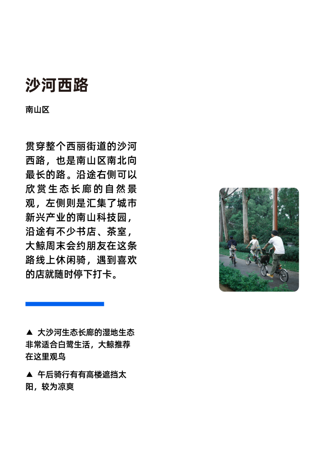 [2024-11-28]用骑行丈量生活在快与慢之间寻找深圳节奏