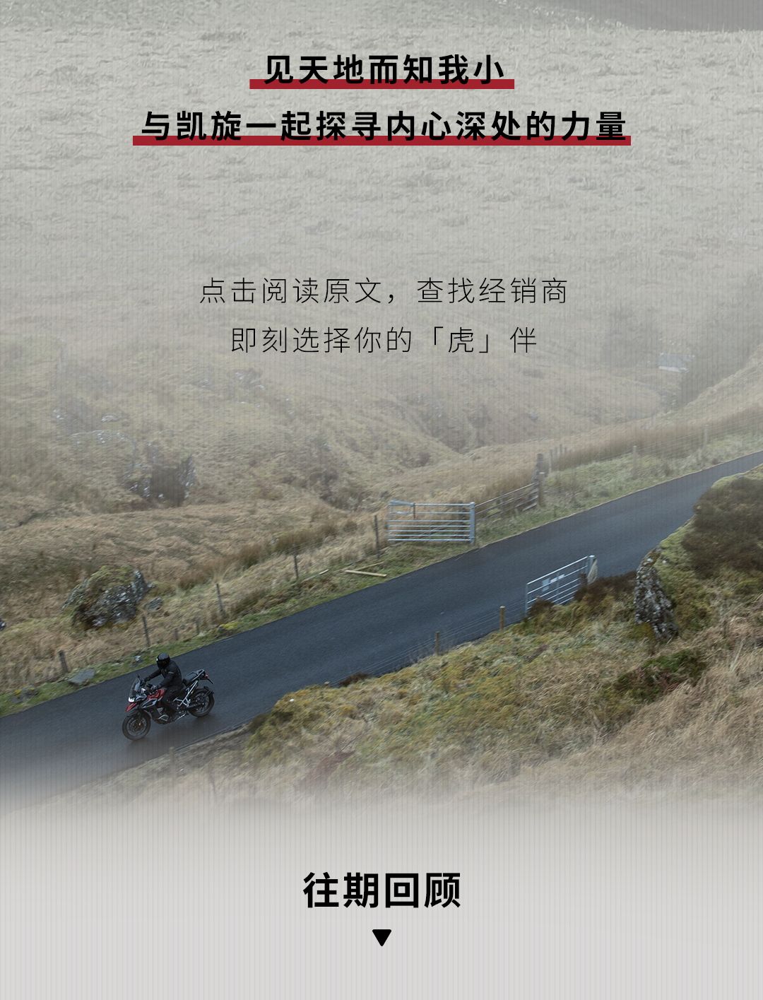 [2025-01-17]鉴虎图Tiger家族全揭秘