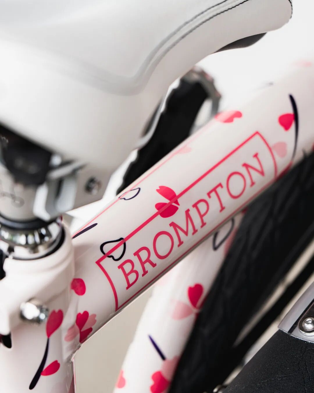 [2025-02-27]迎接樱花季需要准备什么