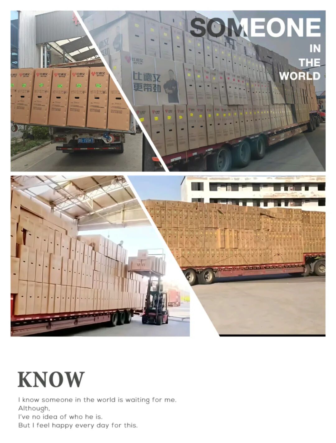 [2025-06-26]比德文销售旺季火力全开销量猛增引行业瞩目