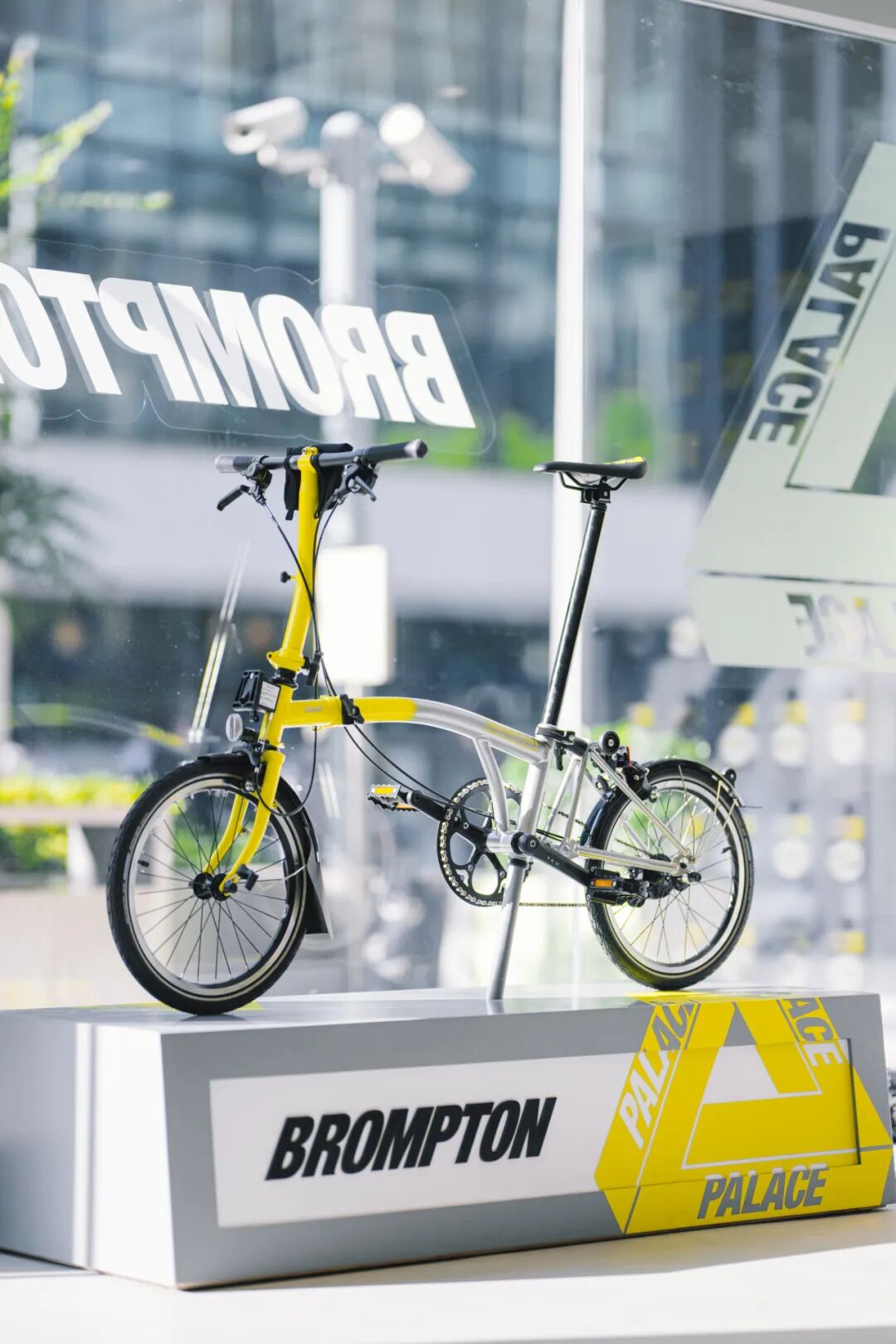 [2024-05-17]滑板vs小布这群布友都有什么花样