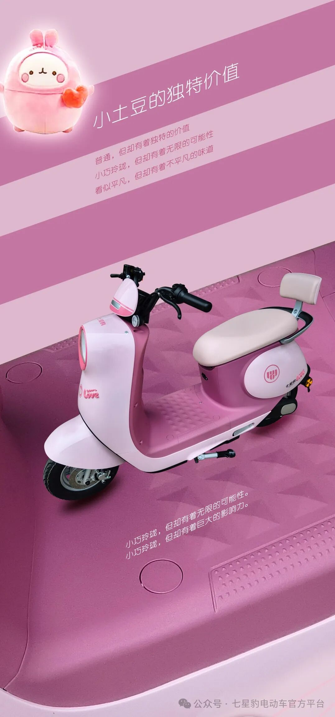 小土豆优雅启程