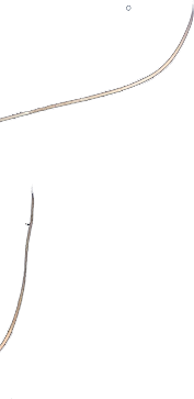 战略启新篇爆品展新颜欧派休闲三轮直播品鉴会热度全开