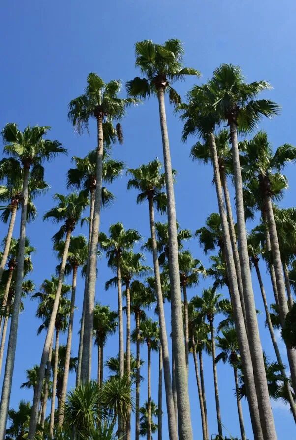 [2025-09-25]BROSHOP邀你共赴日韩感受山野骑遇