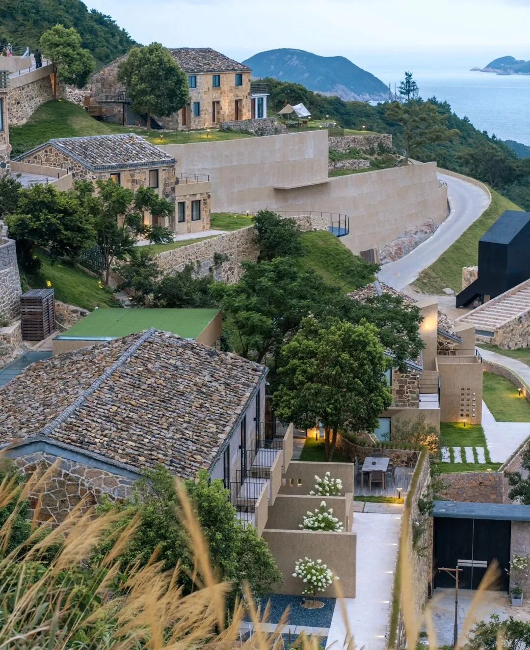 绿驹举办永恒之夜活动