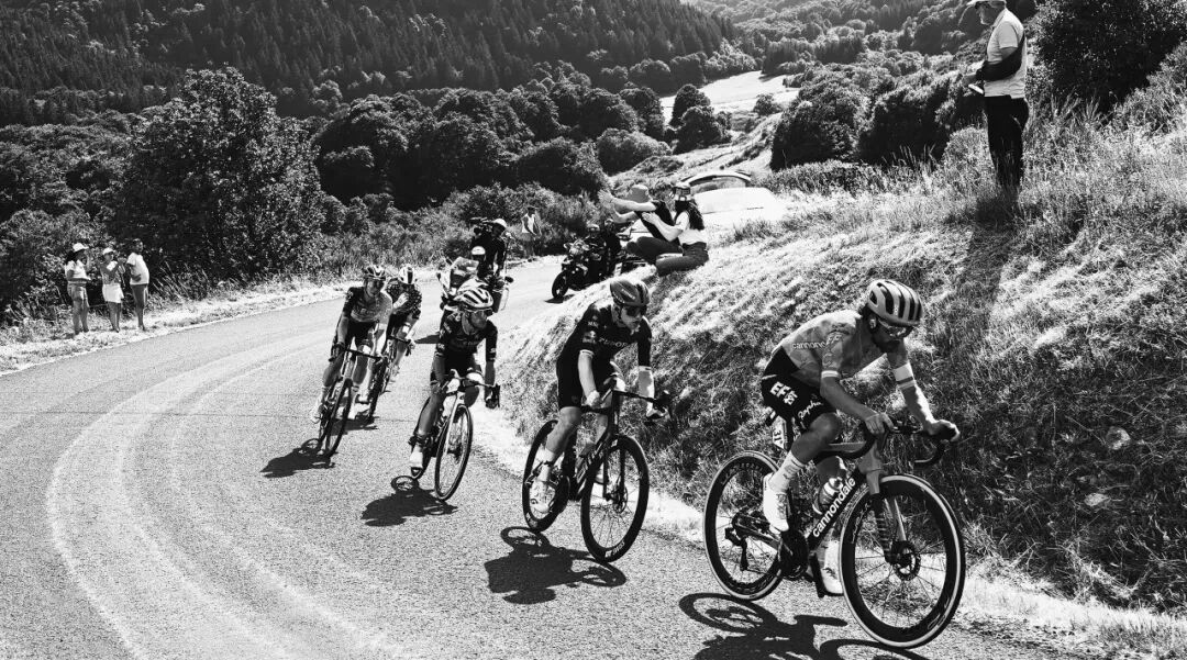 Healy的黄色黎明