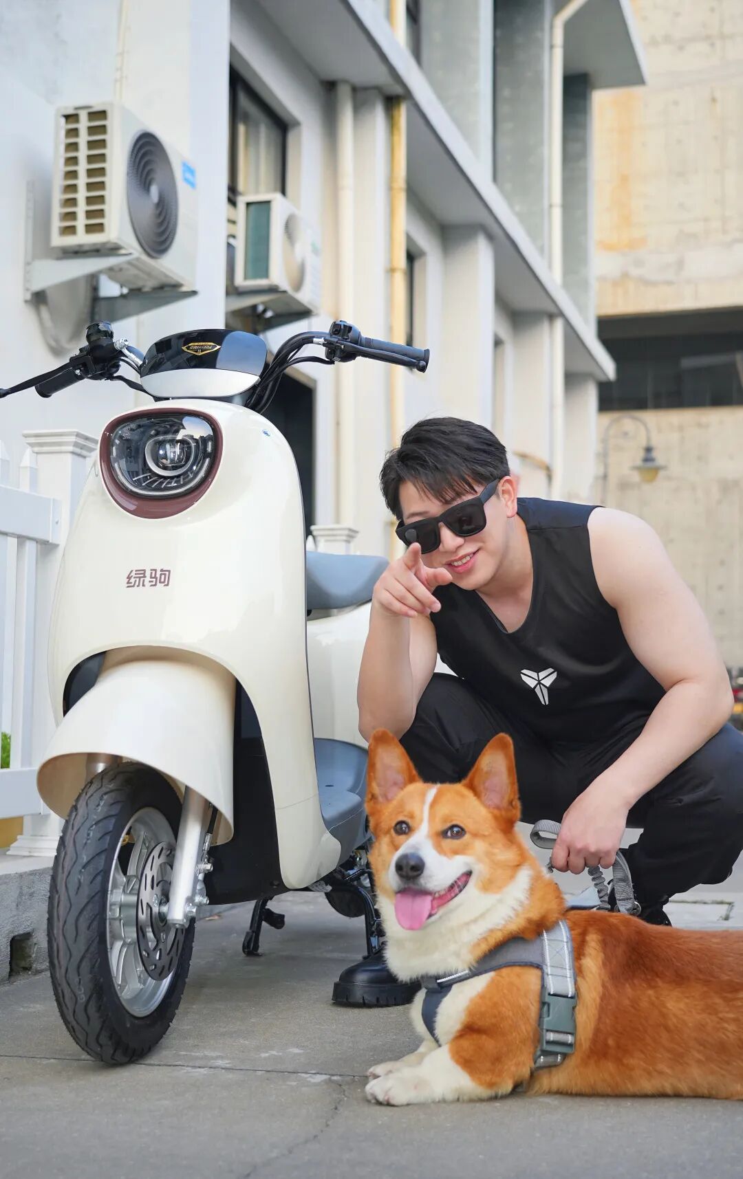 爱宠系列3微笑生活