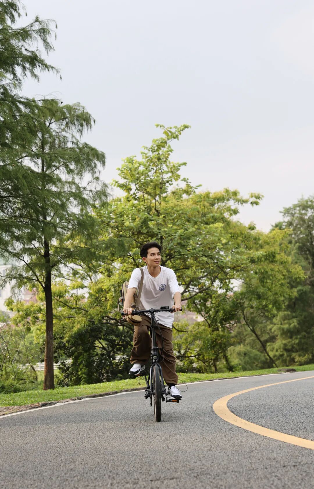 力随心动悦骑轻松DAHON大行轻量化折叠电助力自行车KONE