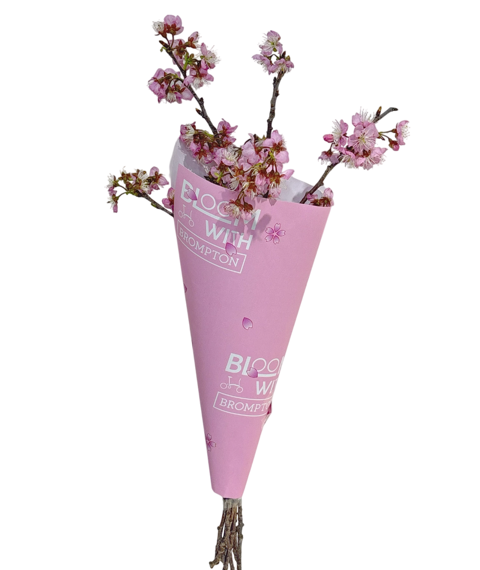 [2025-03-06]和她一起出门找春天