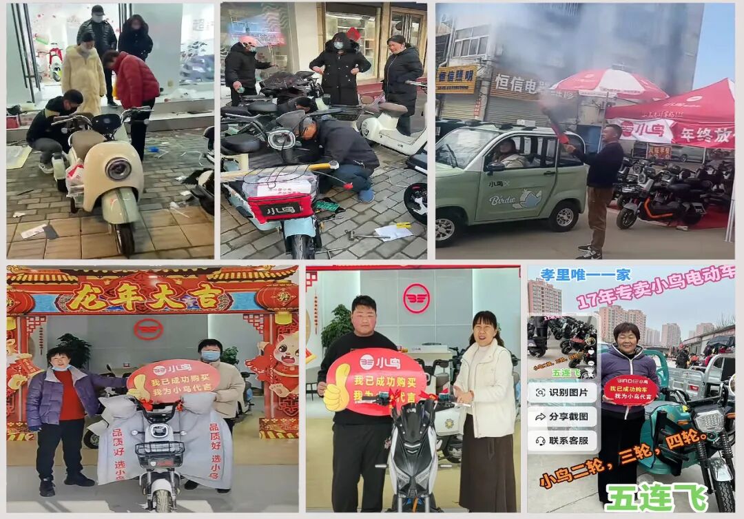 小鸟喜迎开门红