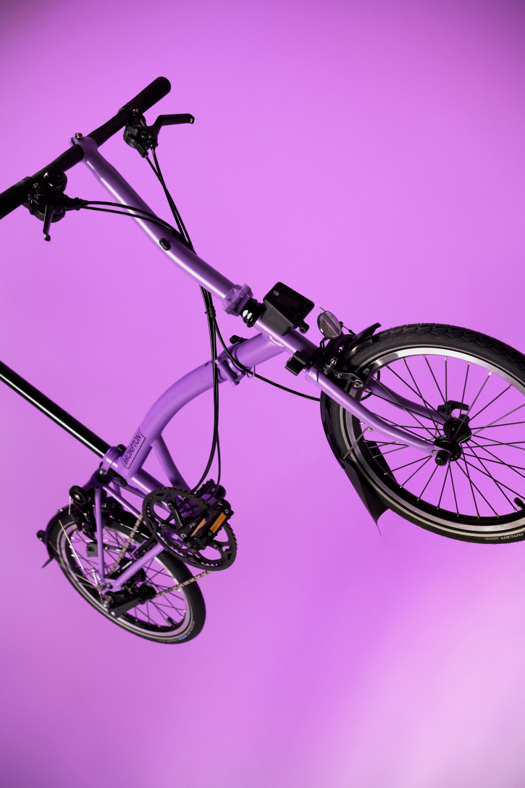 [2024-04-10]神秘的个性的活泼的