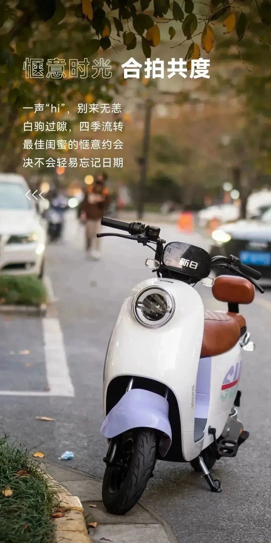 私家大片留下最美印记