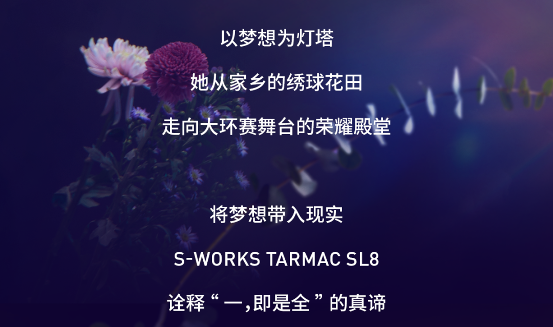 [2025-07-25]一切始于梦想Demi梦想限量版SWorksTarmacSL8车架组