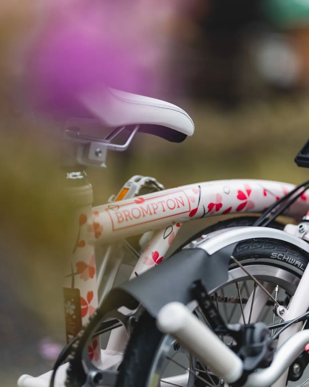 [2025-02-27]迎接樱花季需要准备什么