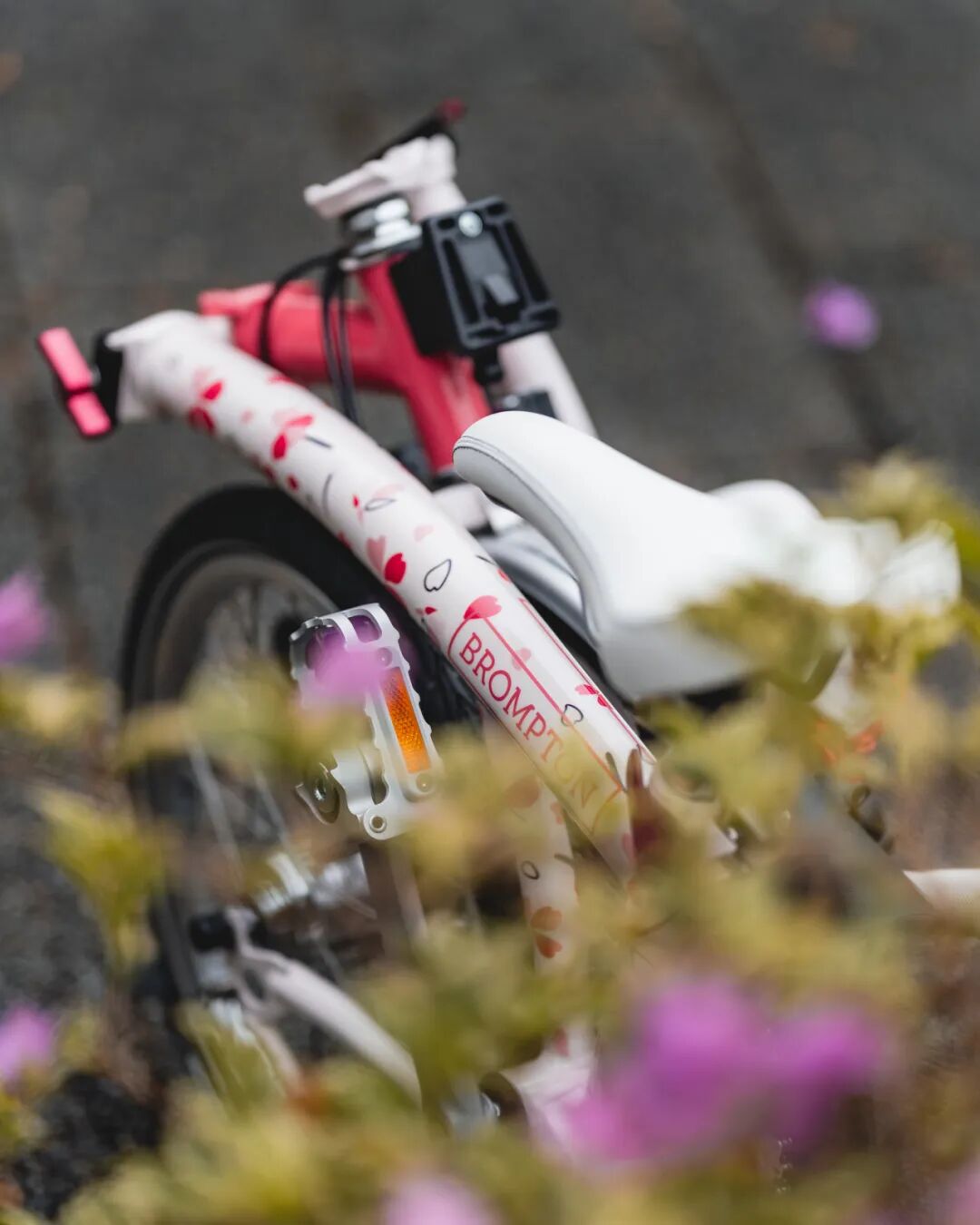 [2025-02-27]迎接樱花季需要准备什么