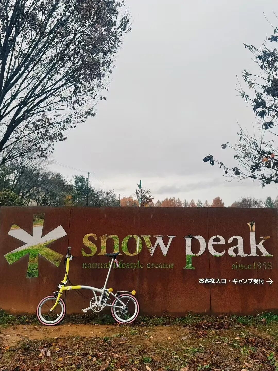 [2025-04-24]小布播报台Vol4