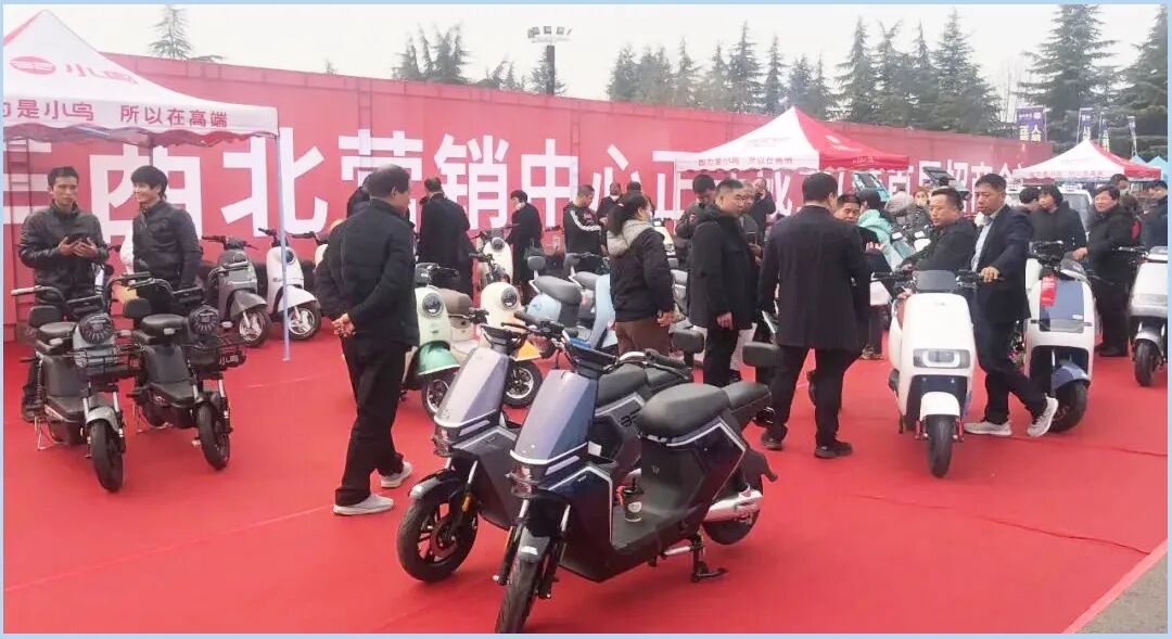 2023小鸟一路春天里