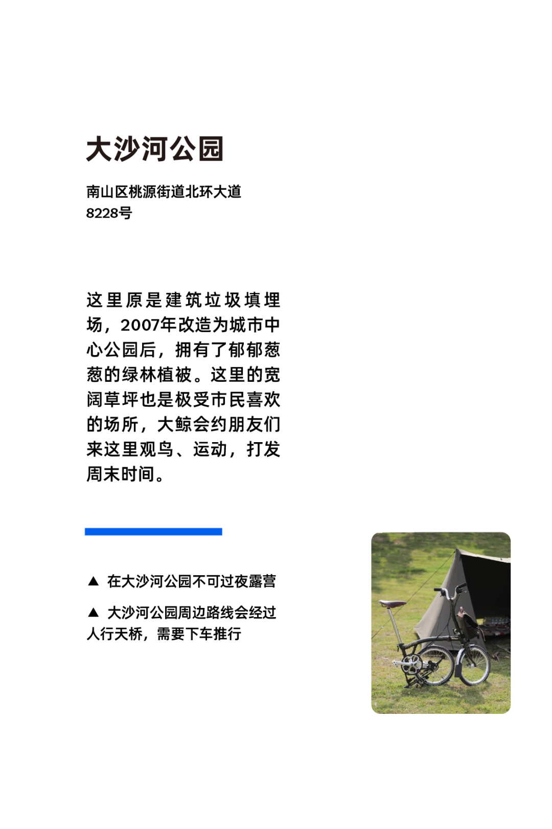 [2024-11-28]用骑行丈量生活在快与慢之间寻找深圳节奏