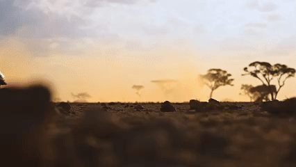 [2024-09-27]揽途Multistrada自由之旅无限同行