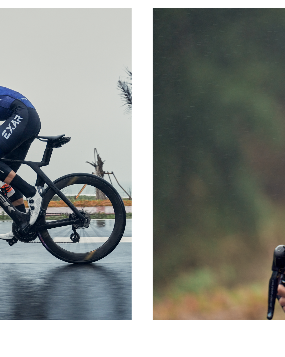 利刃出鞘迈金科技TREK车队