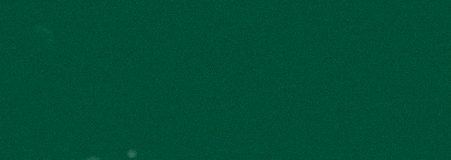 [2024-12-24]你的圣诞礼物藏在_____