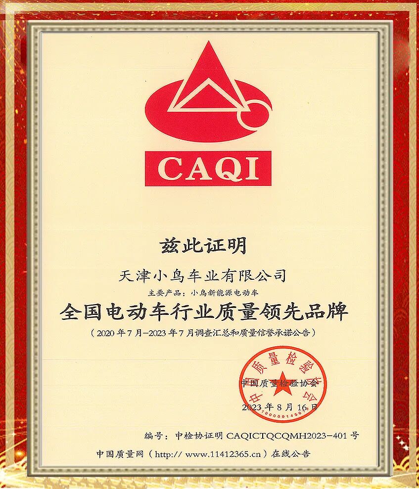 小鸟什么能13年持续领先