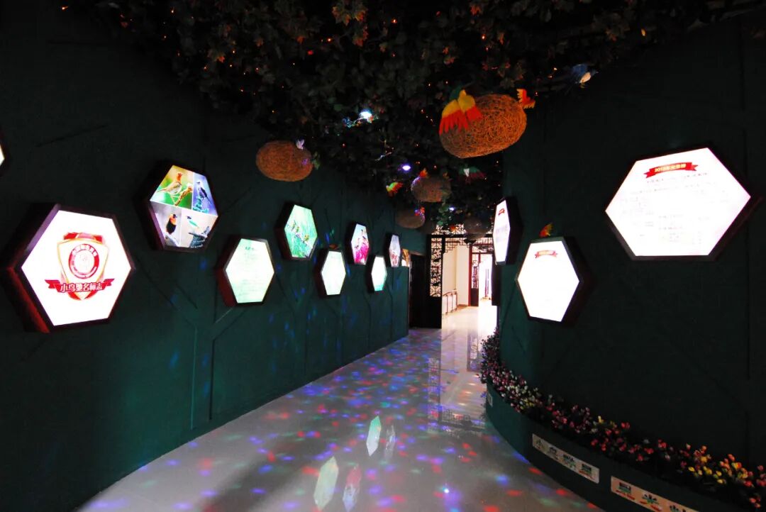 [2024-05-18]小鸟博物馆致力于可持续发展
