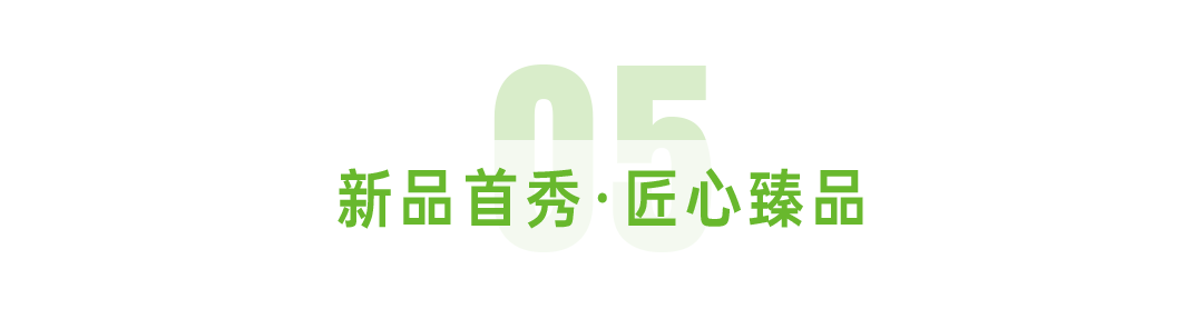 决胜2025全域争锋共启电摩新纪元