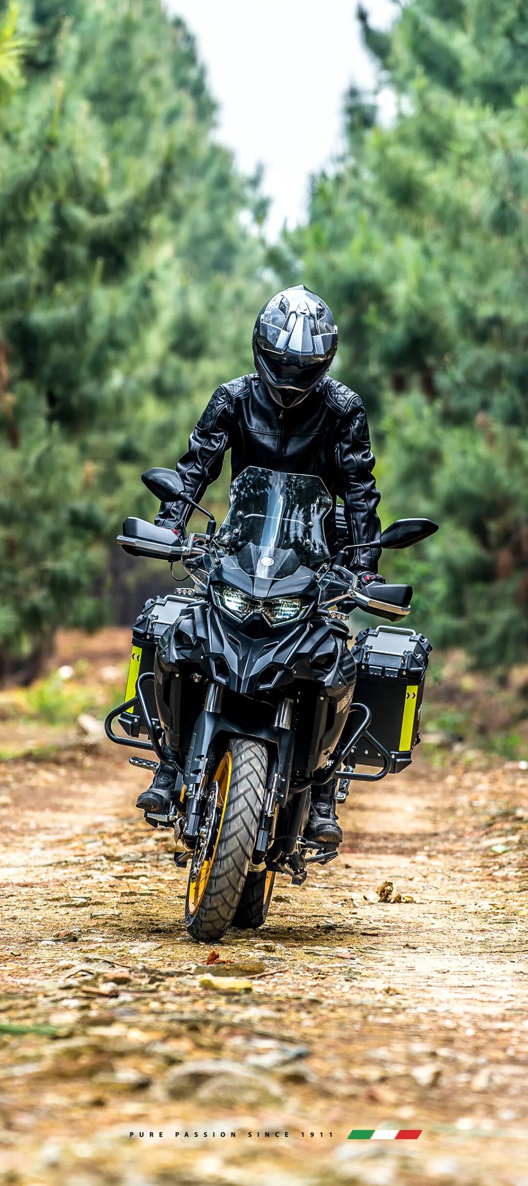 [2025-03-06]3月壁纸唤醒春日公路美学