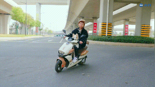 了不起的最佳拍档还得是TA