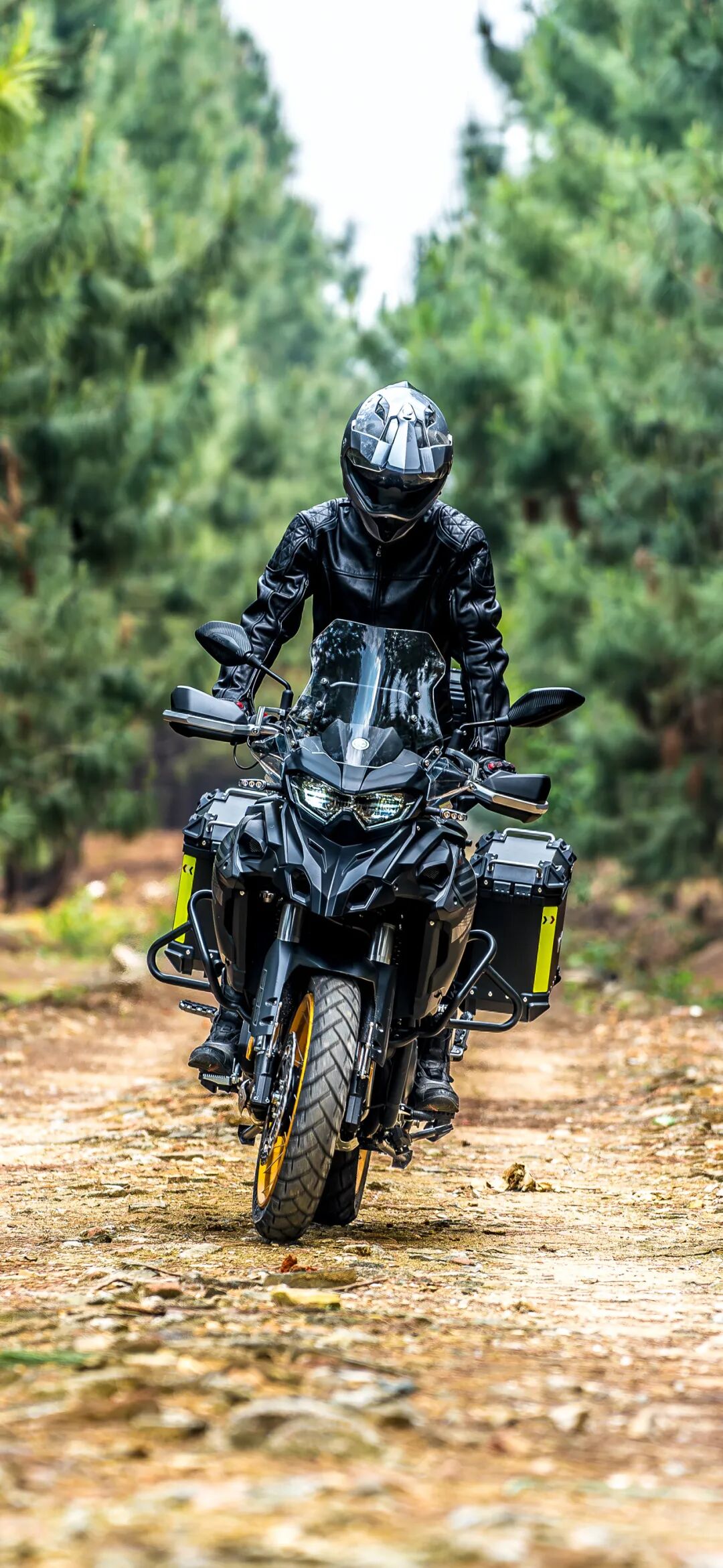 7月壁纸夏一站是青春