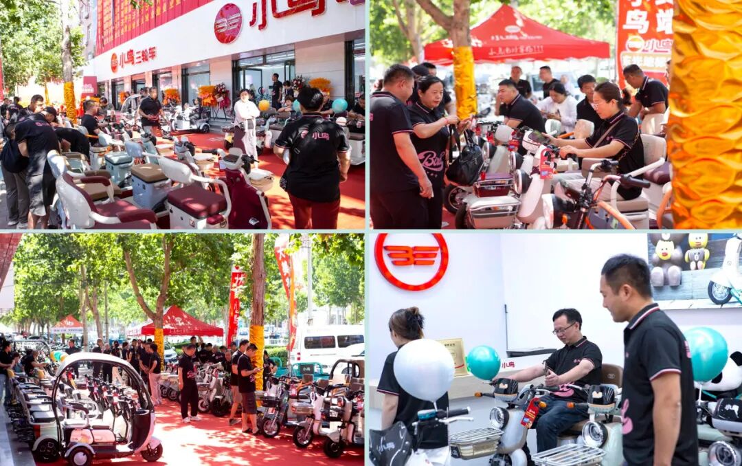 [2024-06-27]小鸟步新布局不凡